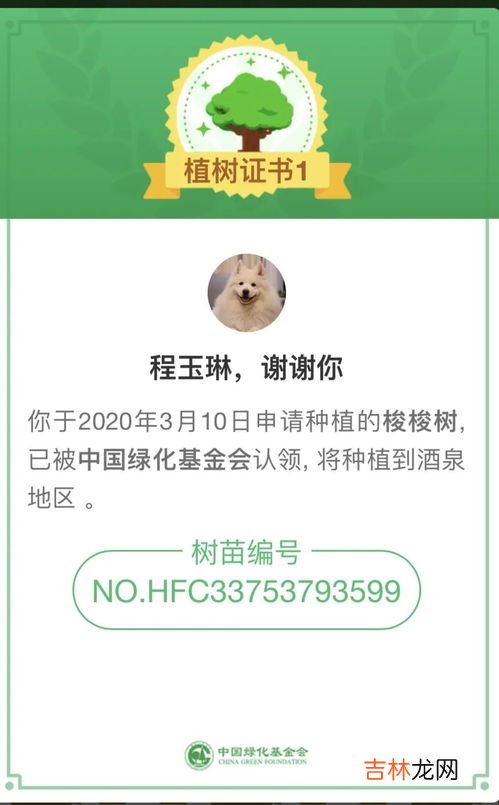 蚂蚁森林证书有什么用,蚂蚁森林证书含金量怎么样