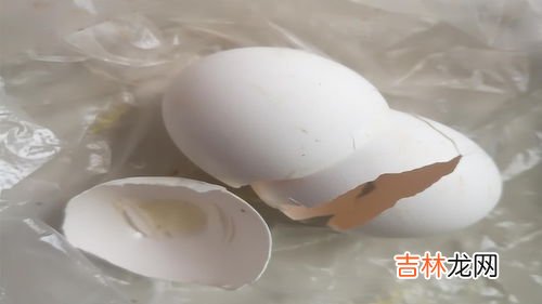 鸡蛋壳的妙用,鸡蛋壳有什么用途