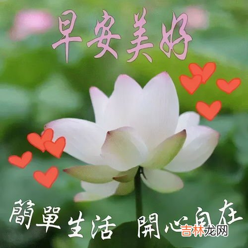 简短有个性早安语,简短的早安语录