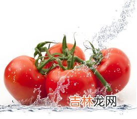 桃和西红柿可以一起吃吗,吃完番茄能不能吃桃子？