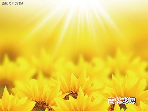 继续努力的诗句,关于继续努力的诗句古诗