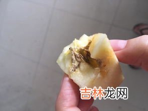 霉豆腐发霉了还能吃吗,霉豆腐发酵长黑霉可以吃吗？