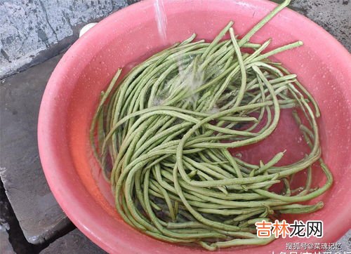 干豆角发霉了还能吃吗,干豆角发霉了还能吃吗
