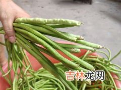 干豆角发霉了还能吃吗,干豆角发霉了还能吃吗