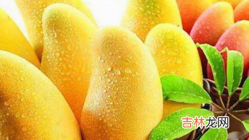 芒果青色的可以吃吗,芒果一半青一半黄可以吃吗?