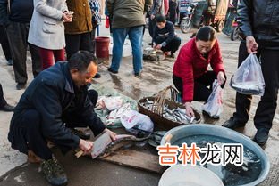 市场上开了膛的死鱼能买吗,刚死的鱼能吃吗