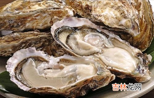 熟的生蚝能隔夜吃吗,煮熟的生蚝第二天还可以吃吗