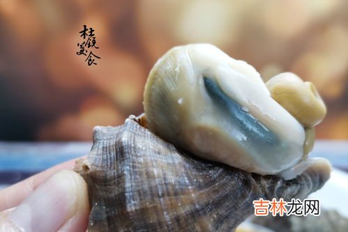 海螺哪个部位不能吃,海螺的哪些部位不能吃?
