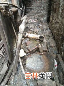 下水道是什么梗,下水道女孩是什么意思?