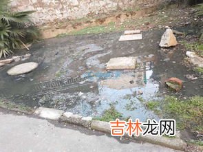 下水道是什么梗,下水道女孩是什么意思？