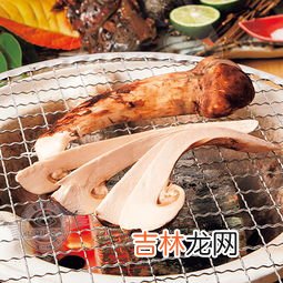 松茸怎么保存能放多久 松茸放冰箱冷冻可以放多久,松茸怎么保存能放多久