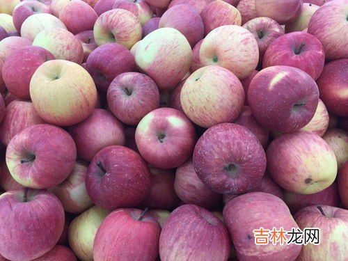 晚上能吃桃子吗,晚上可以吃桃子吗