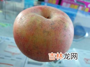 晚上能吃桃子吗,晚上可以吃桃子吗