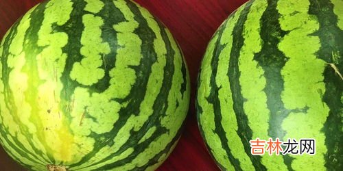 吃不完的西瓜放冰箱第二天还能吃吗,西瓜放在冰箱里 第二天还能吃吗