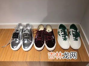 旧鞋子属于可回收物吗,旧鞋子属于可回收物吗？