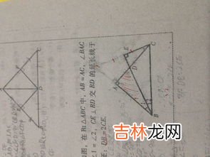 直角锐角钝角怎么区分,直角钝角锐角三角形怎么区分,怎样量直角锐角和钝角