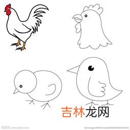 鸡怎么画,画小鸡怎么画
