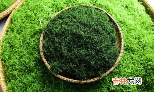 绞股蓝泡水方法,绞股蓝茶用多少水温泡