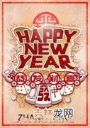 newyear是什么节日,newyear是什么意思？