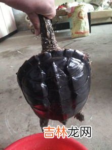 南美的什么俗称银三角,南美的什么地方俗称银三角？