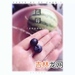 青鲜素是谁的类似物,生长素类似物是否植物激素?