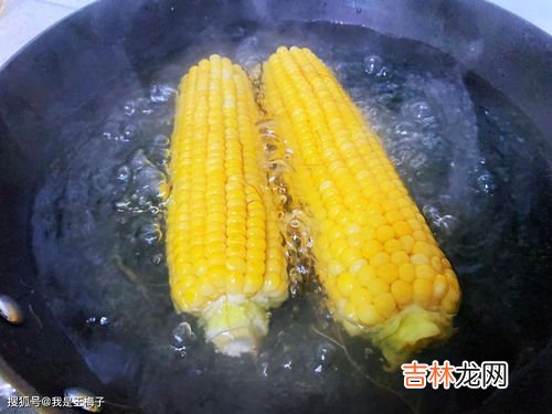 玉米棒煮多久能熟,玉米煮多久就熟了