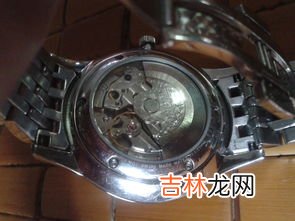 手表哪种机芯质量好些,机械手表机芯哪种好