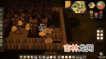饥荒多肉的球茎怎么养才长得好,多肉植物怎么养长的好