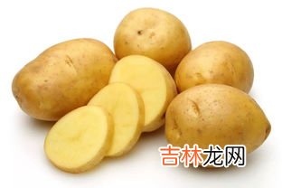 土豆皮绿了还能吃吗,绿皮的土豆能吃吗
