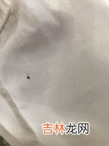 衣服上油漆干了怎么洗掉,油漆滴到衣服上怎么洗掉