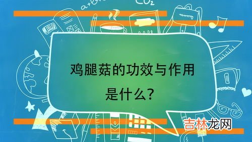 鸡腿菇的功效与作用,鸡腿菇有什么作用 吃鸡腿菇有什么功效