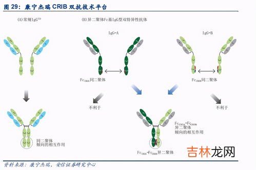 kn速度是啥意思,一艘货轮以36kn的速度是什么意思?