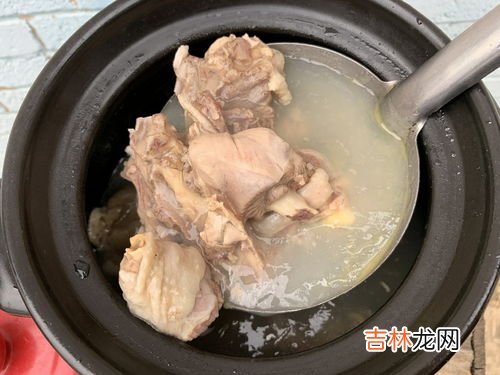 鸡炖什么,鸡炖什么好吃?