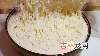 酵母小苏打放一起发面行吗,酵母粉和小苏打能一起用吗