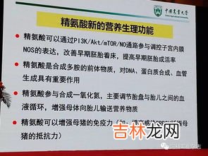精氨酸的作用有哪些,精氨酸胶囊的作用与功效