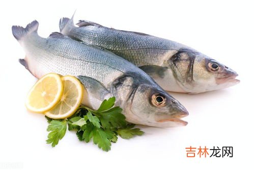 玉米和鱼能一起吃吗,玉米和带鱼能搭配吗