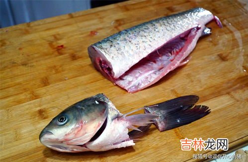 玉米和鱼能一起吃吗,玉米和带鱼能搭配吗