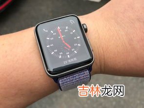 手表蜂窝版和GPS版有什么区别,蜂窝款和gps款区别