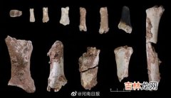 距今3万年的远古人类,河南发现的3万年前人骨或是我们祖先，70万年前北京猿人咋不是？