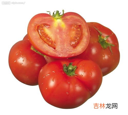 李子和西红柿能不能一起吃,西红柿不能和什么一起吃