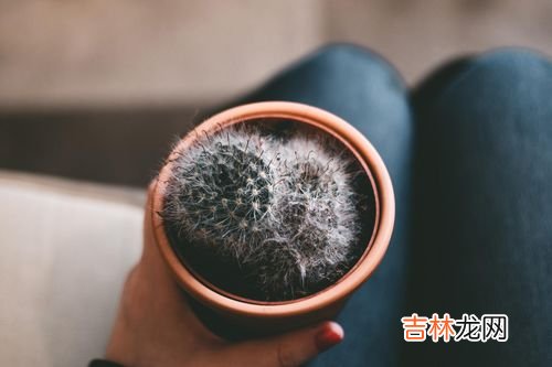 美国氨糖软骨素的种类,美国氨糖软骨素好不好