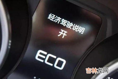 eco是什么意思,eco是什么意思