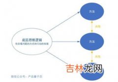 主管逻辑思维的是什么脑,左脑右脑分别控制什么？