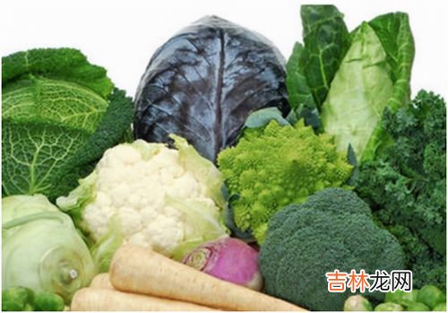 白菜是十字花科蔬菜吗,十字花科的蔬菜和水果有哪些