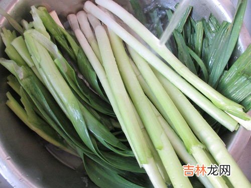 12月份还可以种蒜苗吗,冬季12月大棚里种大蒜