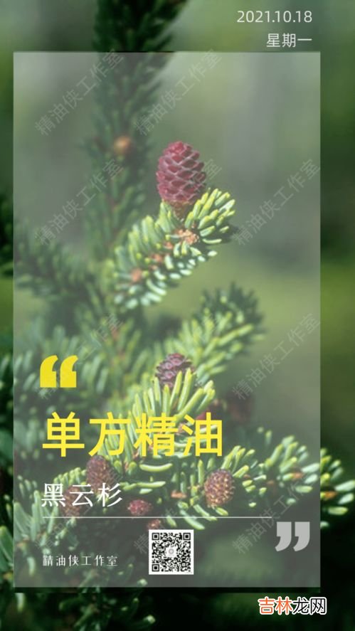 小孩可以用冷杉精油吗,小孩子咳嗽用什么精油