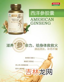 西洋参胶囊怎么样,西洋参胶囊有用吗