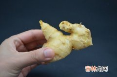 生姜冰箱冷冻保存法,生姜能冷冻保存吗