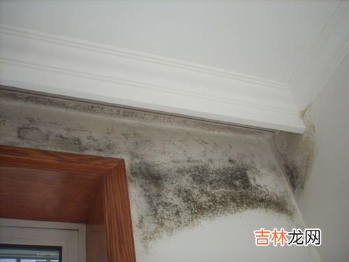 梅雨季节家里发霉怎么办,梅雨季节家里有人住家里有霉味需要开窗通风吗？
