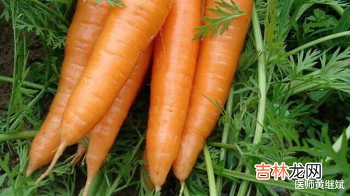 白萝卜和胡萝卜能一起炖排骨吗,炖排骨汤，白萝卜和胡萝卜能一块煮吗？